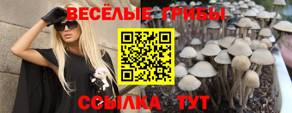 Псилоцибиновые грибы ЛСД Коломна